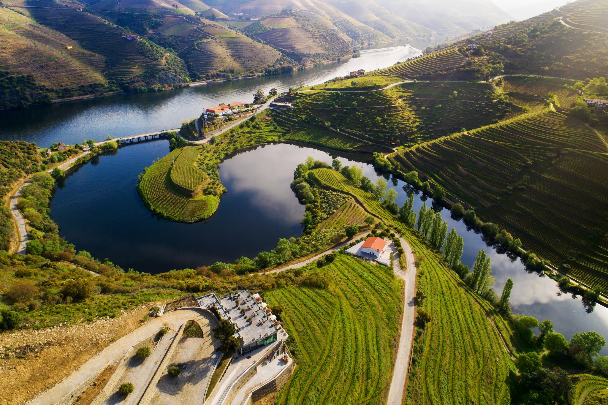 Wine Estate - Douro Valley